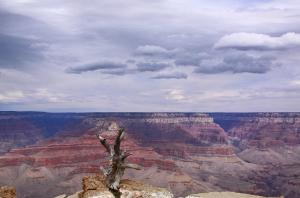 Great Images From Grand Canyon