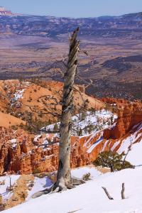 New Images From Bryce Canyon